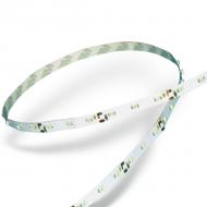 LED strip SMD3528 4,8W White IP20
